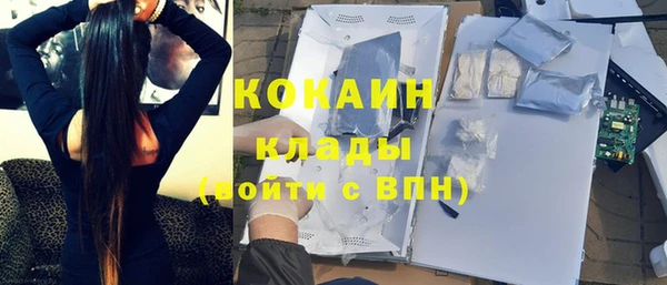 стафф Алзамай