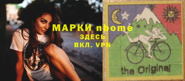 стафф Алзамай